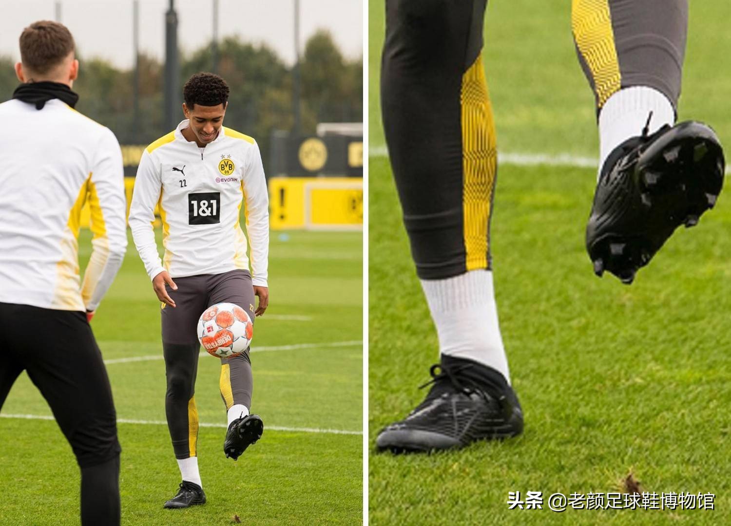 训机构表现 训机构表现