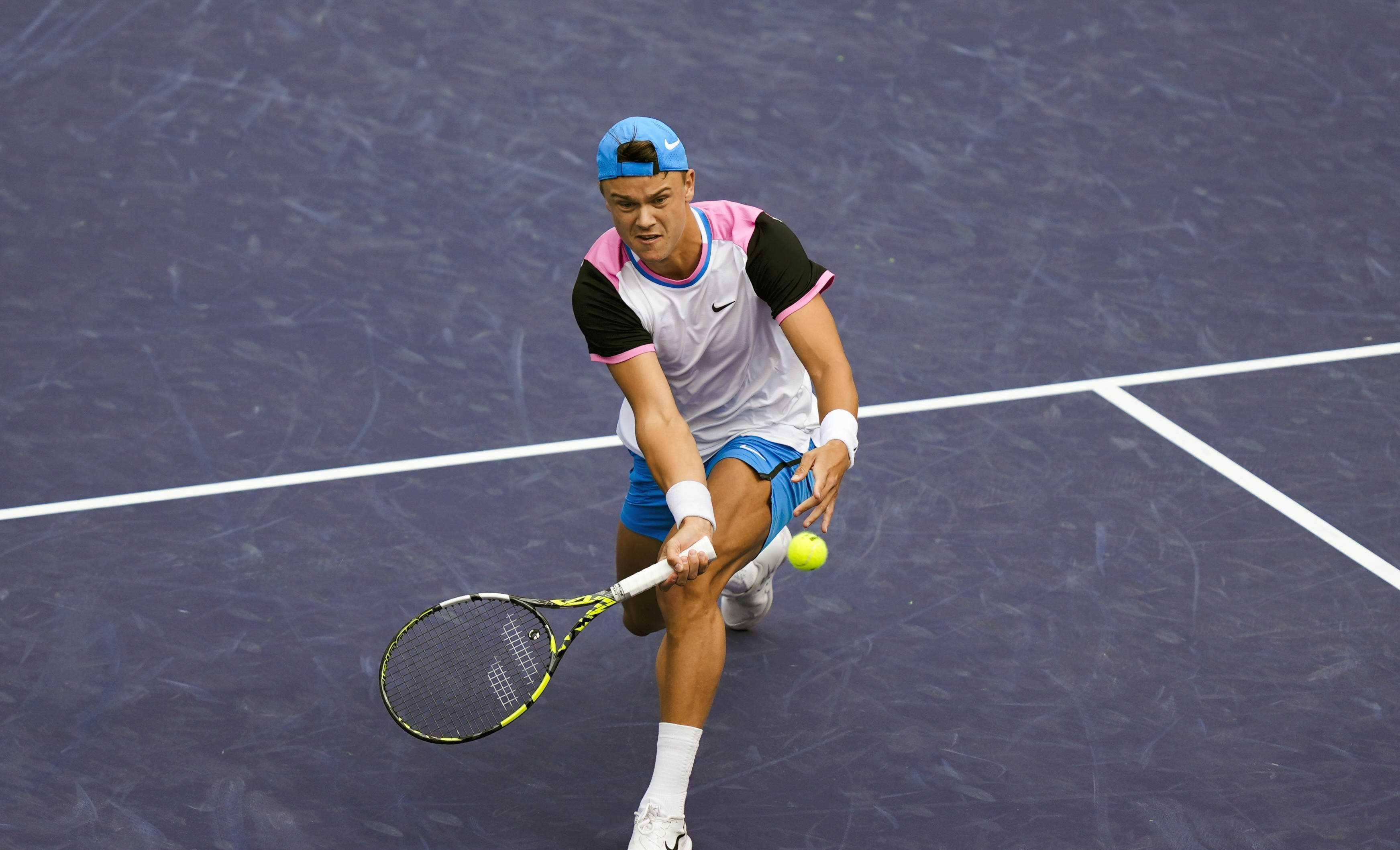 发展潜力以 发展潜力以